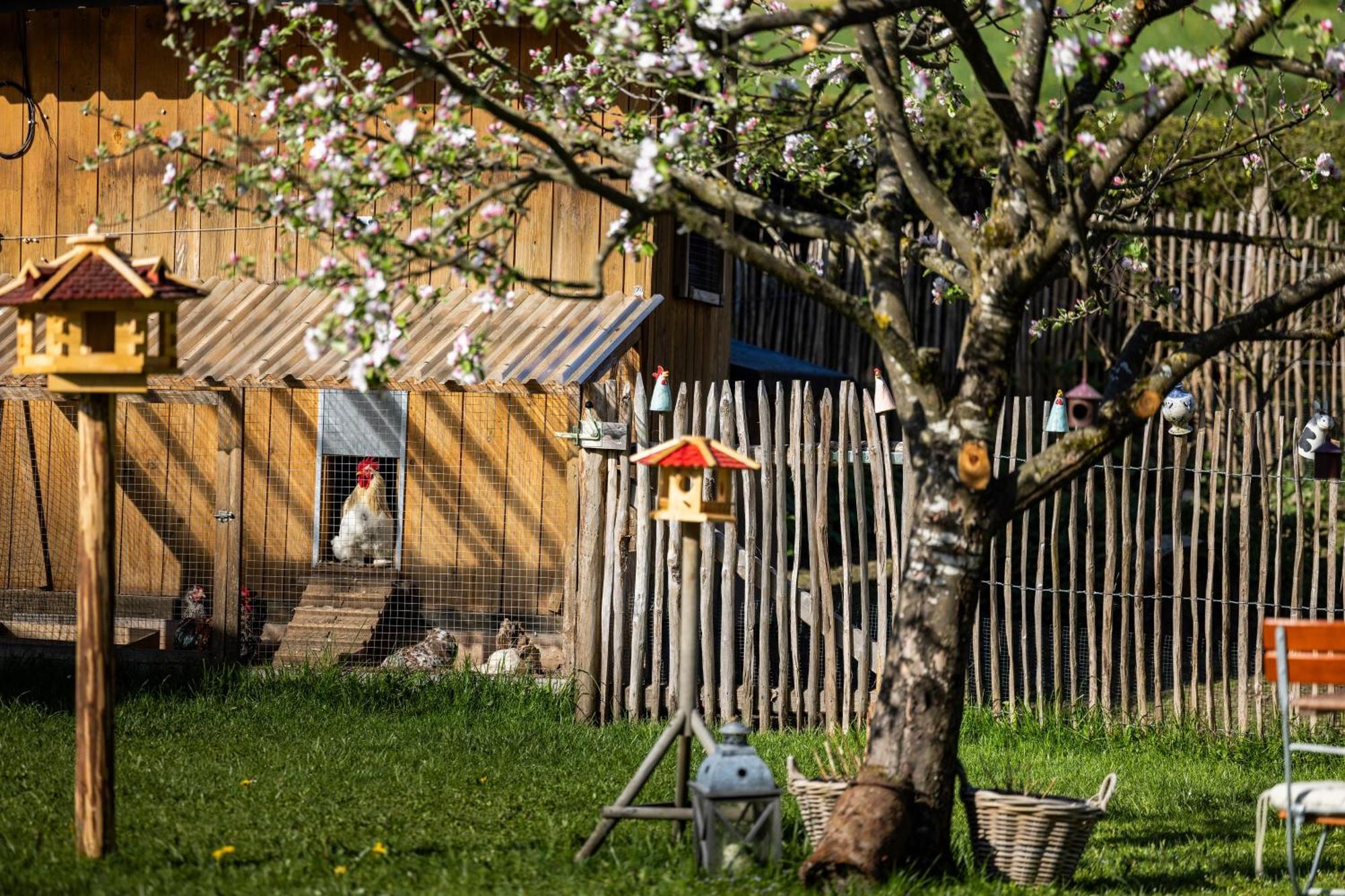 Wassererlehen Bischofswiesen Bagian luar foto