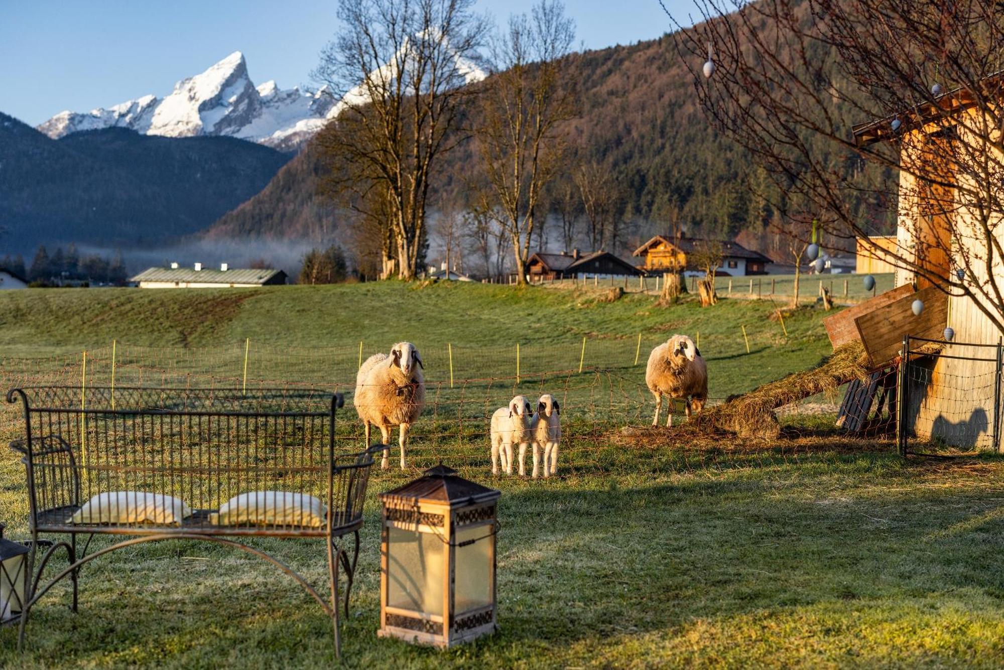 Wassererlehen Bischofswiesen Bagian luar foto
